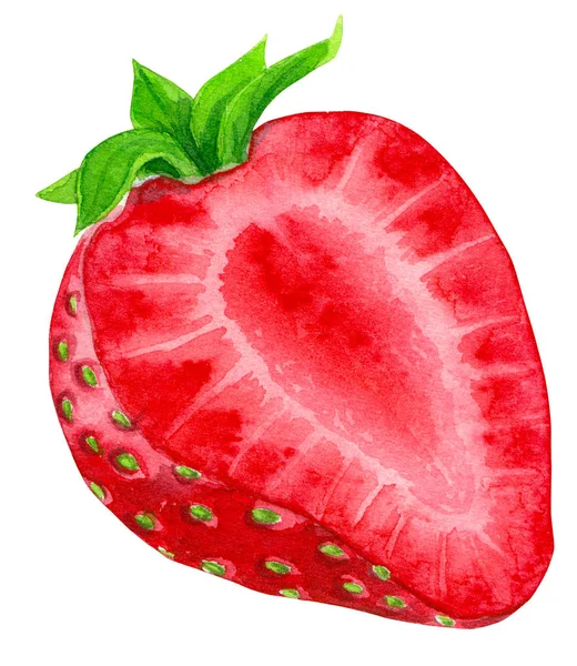 Strawberry Half Painted Watercolors Isolated White Background Element Design — Stock Photo, Image