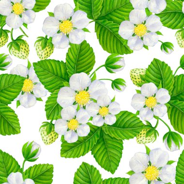 Dikişsiz suluboya desen tasarım öğesi çilekli tesisleri ile.