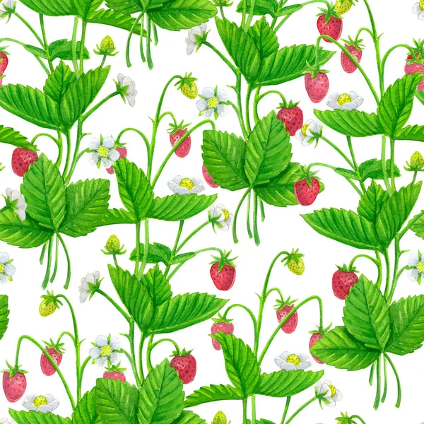 Nahtloses Aquarellmuster Mit Erdbeerpflanzen Gestaltungselement — Stockfoto
