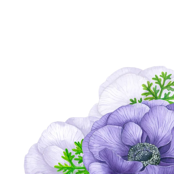 Fundo Aquarela Com Flores Anêmona Violeta Espaço Para Texto — Fotografia de Stock