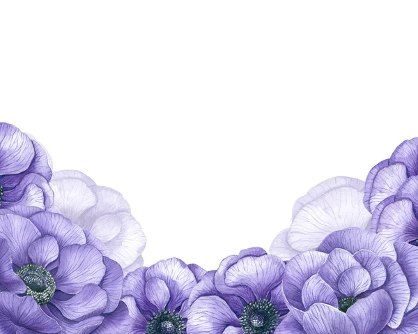 Watercolor Background Violet Anemone Flowers Space Text — Stock Photo, Image