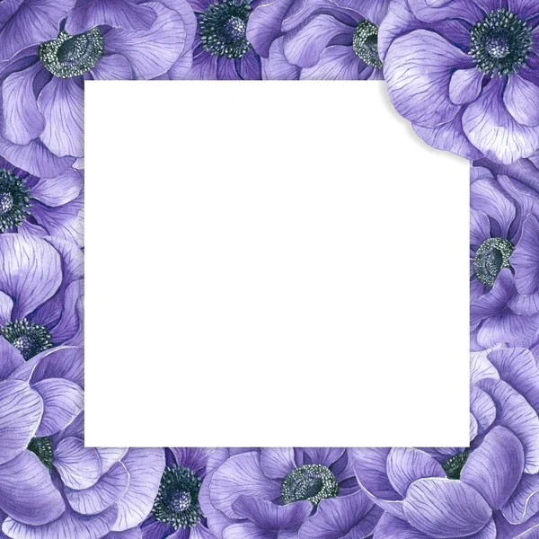 Fondo Acuarela Con Flores Anémona Violeta Espacio Para Texto —  Fotos de Stock