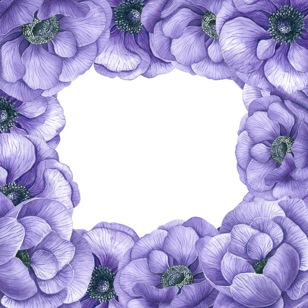 Tle Akwarela Anemone Fioletowe Kwiaty Miejsca Tekst — Zdjęcie stockowe