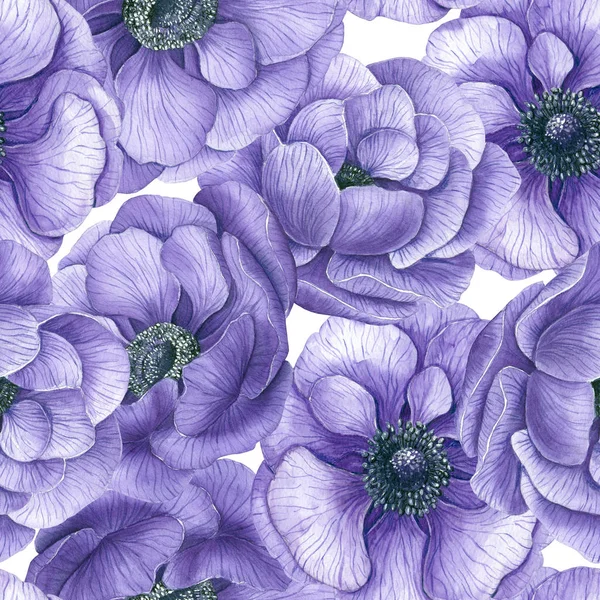 Watercolor Pattern Violet Anemone Flowers Element Design — Stock Photo, Image