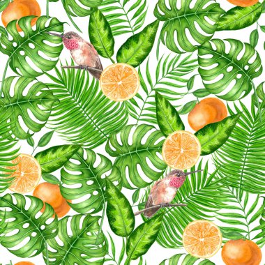 Sinek kuşlarının, yaprakları ve portakal ile Dikişsiz suluboya tropikal desen.