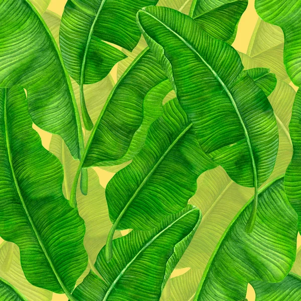 带香蕉叶的无缝水彩图案 — 图库照片