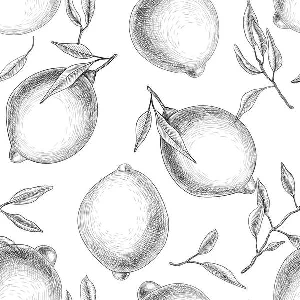 Nahtloses Muster Aus Handgezeichneten Zitronen Mit Blättern Element Für Design — Stockvektor