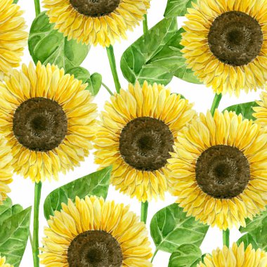 Suluboya ayçiçeği ile Seamless modeli öğe tasarımı için.