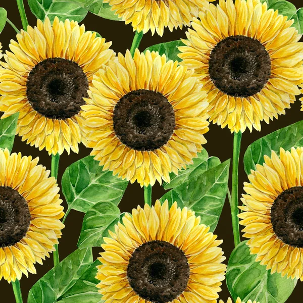 Seamless Pattern Watercolor Sunflowers Element Design — Stock Photo, Image
