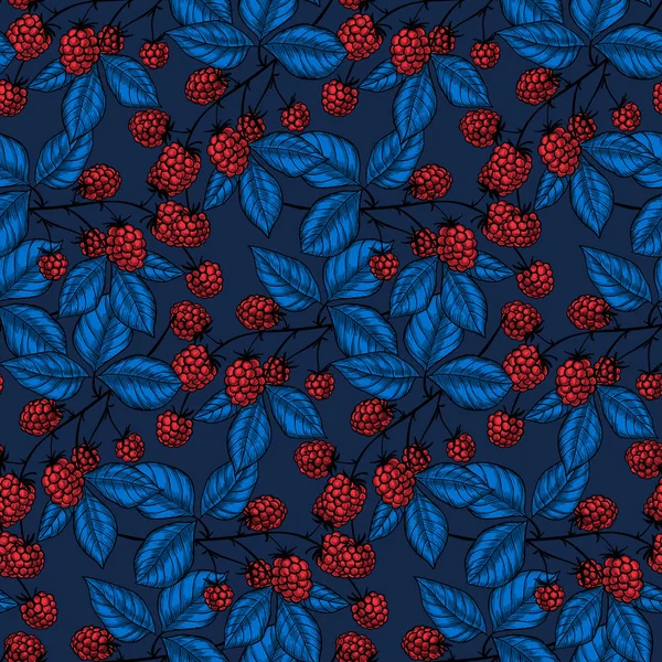 Vector Seamless Pattern Hand Drawn Raspberries Element Design — Free Stock Photo