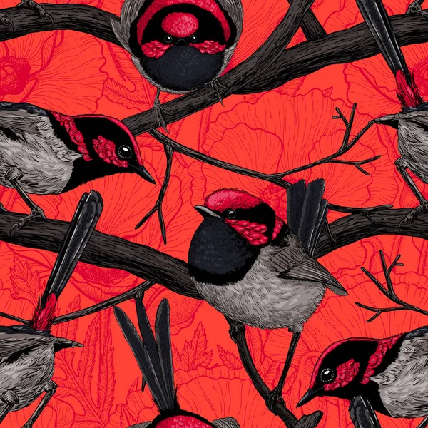 Fairy wrens motif — Image vectorielle