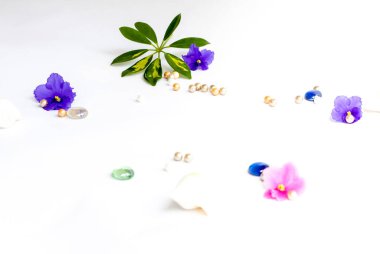 Tasarım için arka plan. Boncuklar. Yeşil yaprak. Çeşitli dekor elementleri. Parlak çiçekler. Hafif taban.