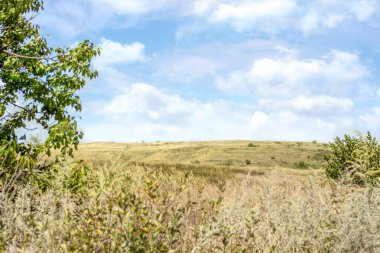 Yaz manzarası, güneşli bir gün, harika bir hava.