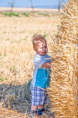 Samanlıkta küçük bir çocuk. Doğal arka plan. Yaz sıcağında.