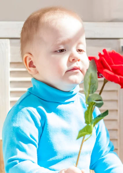 Porträt Eines Jungen Ein Junge Hält Eine Rose Der Hand — Stockfoto