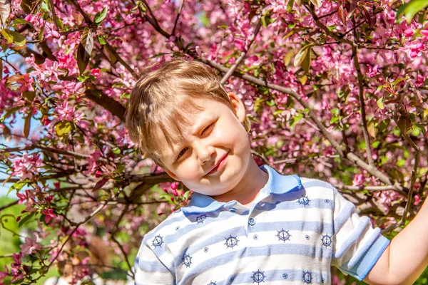 Chłopiec Kwitnącym Sadzie Jabłoni Jabłoń Wiosną Portret Dziecka — Zdjęcie stockowe