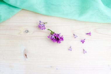 Bahar hafifliği ve hassasiyeti. Sabahın tazeliği.