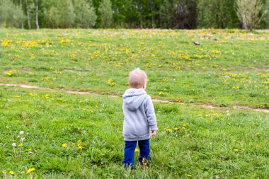 Neşeli bir çocuk tarlada karahindiba ile yürüyor. Çocuk yürümekten mutlu. Portre.