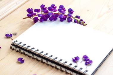Not defterinde yazmak için güzel mor çiçekler. Grafik çalışmalarının sunumu ve tasarımı için arkaplan.