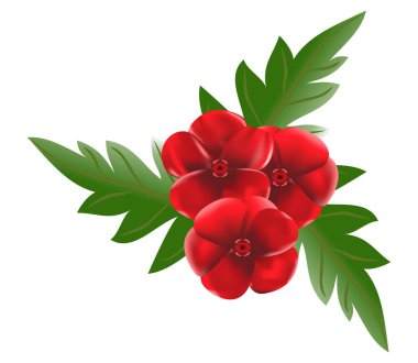 Parlak, güzel bir çiçek. Yapraklı Red Bud. Görüntü.