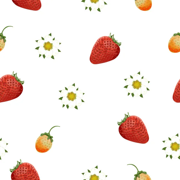 Background Element Pattern Berries Flower Strawberry White Background Illustration Background — Stock Photo, Image