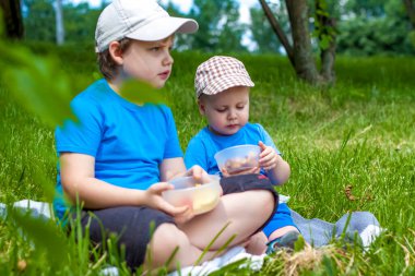 Yaz ve sıcak bir gün. Çocuklar pikniğe gider, battaniyeye oturur ve tabaktan meyve yerler. Erkeklerin canlı duyguları. Çimlerin üzerinde piknik.