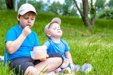 Yaz ve sıcak bir gün. Çocuklar pikniğe gider, battaniyeye oturur ve tabaktan meyve yerler. Erkeklerin canlı duyguları. Çimlerin üzerinde piknik.