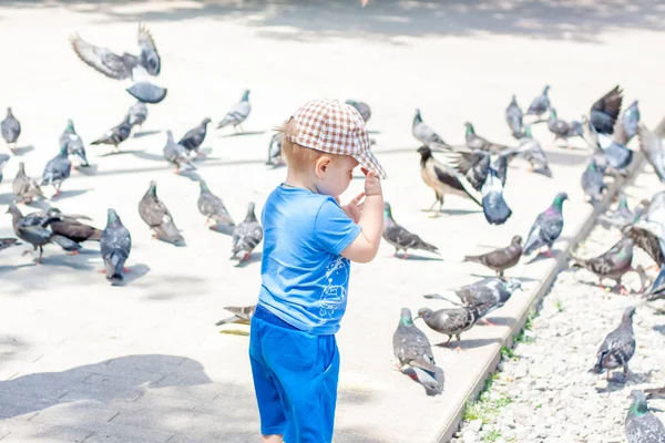 Chico Los Pájaros Alimentando Las Palomas Niño Divierte Jugando Con — Foto de Stock