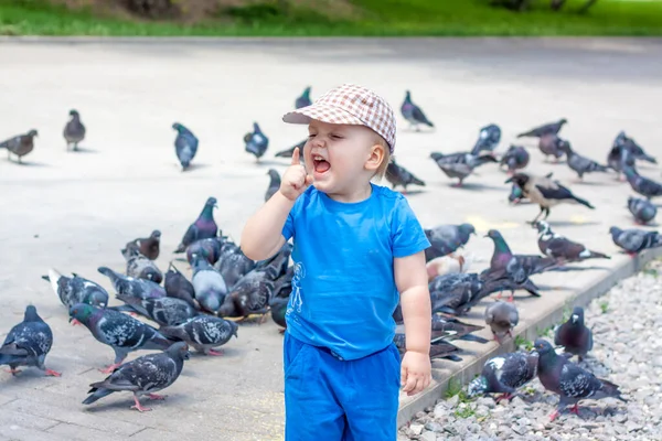 The boy with the birds. Feeding the pigeons. The child has fun to play with birds.