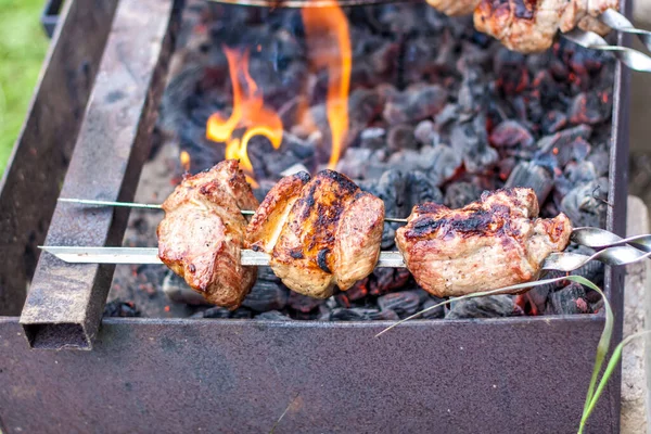 在火上烤烤肉 传统的白种人烤肉串在斜子上 用斜子煮肉 什锦烤面包在烤架上烤 — 图库照片