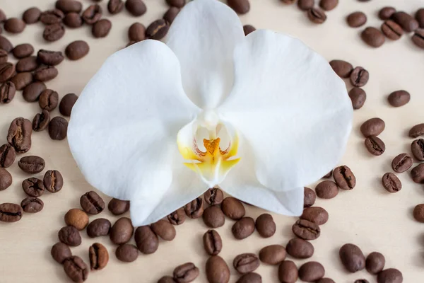 Orchid flower and coffee beans. Roasted coffee beans on a wooden background. Light tree background.