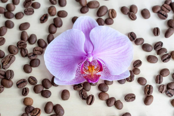 Orchid flower and coffee beans. Roasted coffee beans on a wooden background. Light tree background.