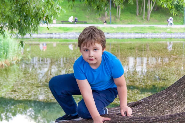 Een Kind Een Enorme Boom Beklimmen Onbevreesd Kind Gedurfd Jongen — Stockfoto