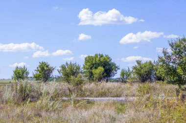 Güzel gökyüzü ve tarlası olan kırsal alan. Beyaz bulutlu mavi gökyüzü.