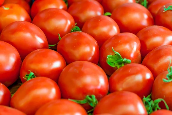 Colheita Tomates Tomates Que Acabaram Ser Colhidos Jardim Estão Chão — Fotografia de Stock