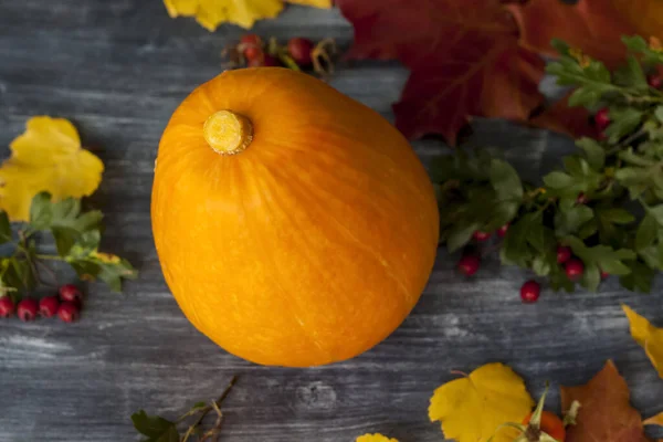 Höstens Bakgrund Tema För Skördefestivalen Festlig Höst Inredning Pumpabär Och — Stockfoto