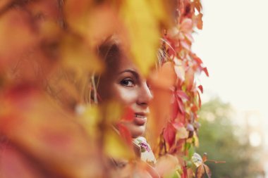 Otantik yakın kadar gizemli bir şekilde seyir kameraya, beyaz çekici sarışın kadın derin mavi gözlü, gülümseyen şefkatle, sonbahar yaprakları, renkli doğal duvar arka plan üzerinde poz ile çevrili