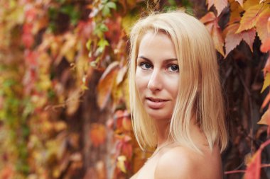 Açık yakın kadar gizemli bir şekilde seyir kameraya, beyaz çekici sarışın kadın derin mavi gözlü, çıplak omuz sonbahar yaprakları ile çevrili, renkli doğal duvar arka plan üzerinde poz vardır