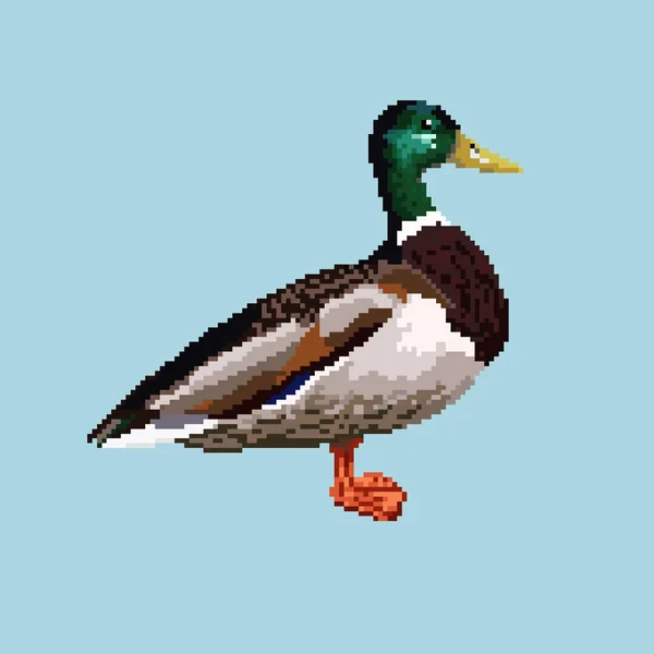 Uccello pixel. Anatra isolata su fondo blu . — Vettoriale Stock