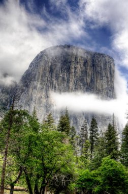 Yosemite Ulusal Parkı manzarası