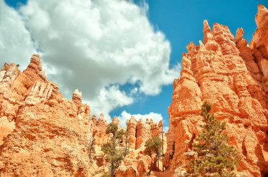 Bryce Kanyonu Ulusal Parkı