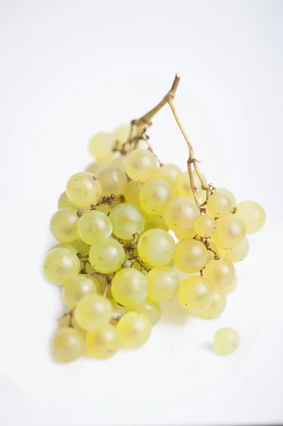 Bunch Grapes Wine — Stock Photo, Image