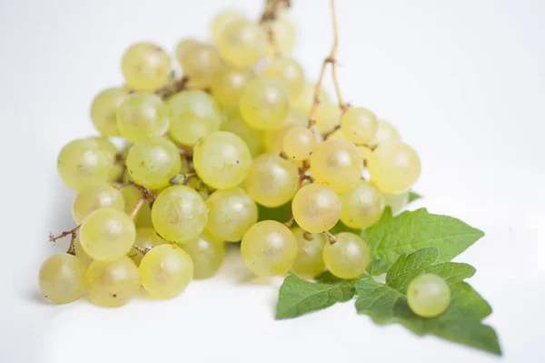 Bunch Grapes Wine — Stock Photo, Image