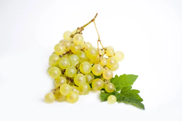 Bunch Grapes Wine — Stock Photo, Image