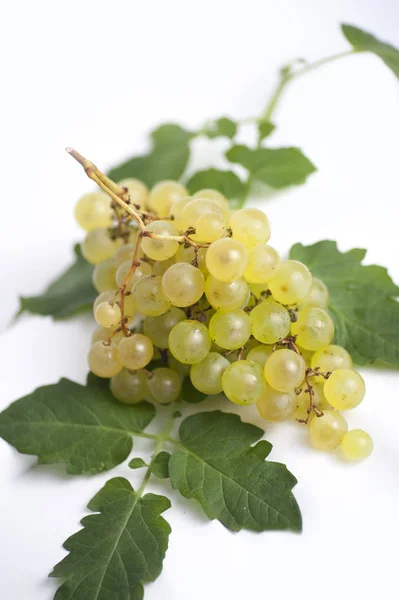 Bunch Grapes Wine — Stock Photo, Image