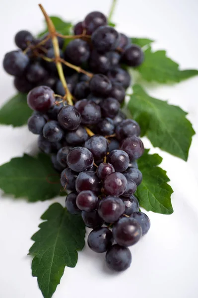 Racimo Uvas Para Vino — Foto de Stock