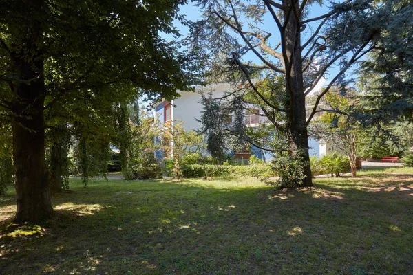 Çam ve güneşli yaz günü villada İtalya ile Bahçe