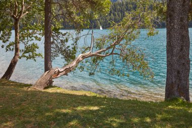 Sankt Moritz mavi göl ile yelken tekne ve çam ormanı içinde bir güneşli yaz gün, İsviçre  