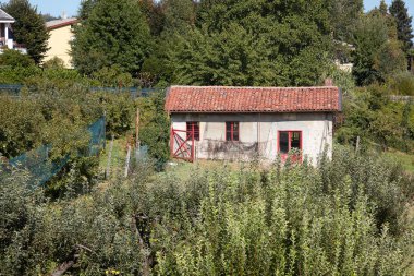 Meyve bahçesinde bir güneşli yaz günü İtalya eski mevduat
