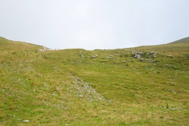 Kayalar ve sayı, bulutlu gökyüzü ile Yüksek dağ yeşil ve sarı çayır